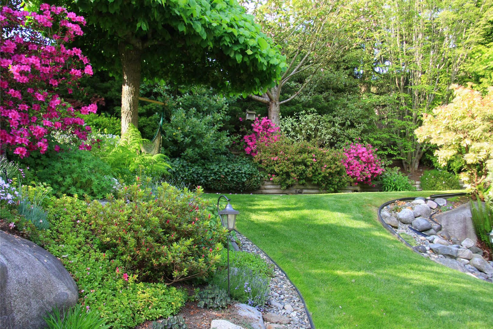 Garten mit vielen verschiedenen Pflanzen