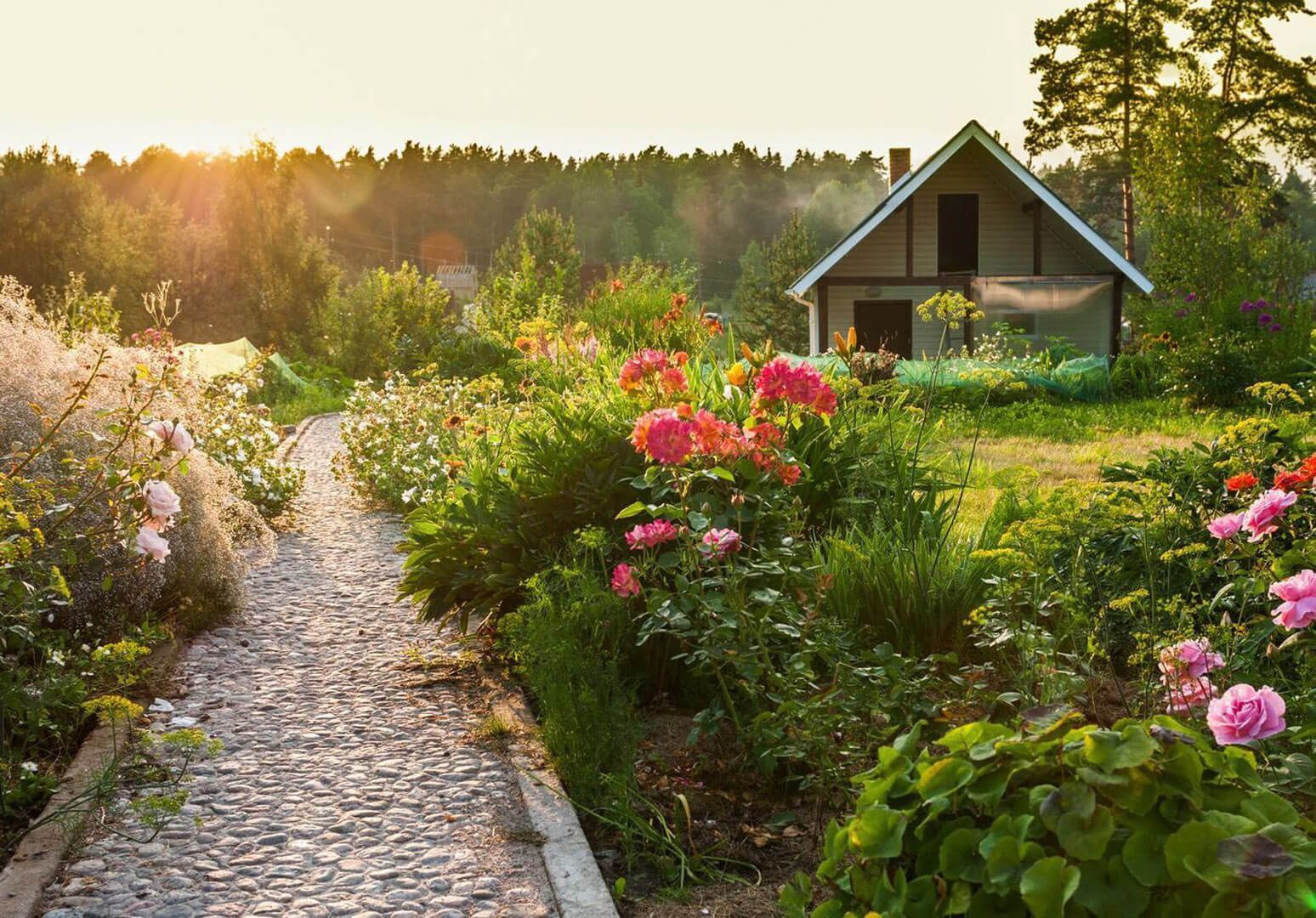 Gepflasterter Weg aus Naturstein durch einen Garten